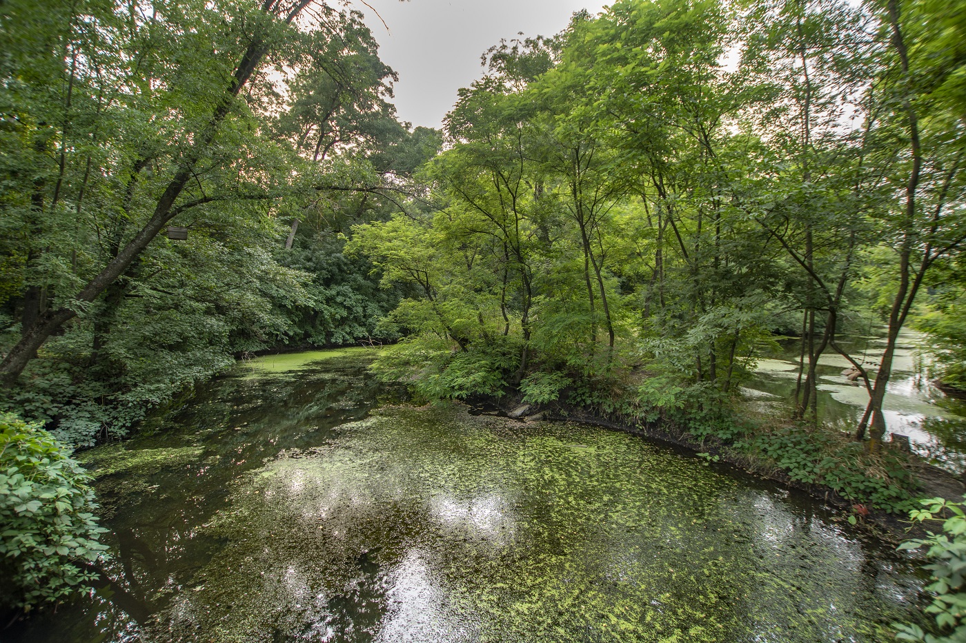 Мальовничі степи, скелі та каньйони: найкращі локації півдня України для теплої осінньої мандрівки